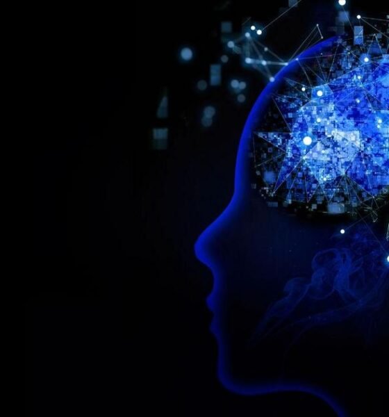 IA para Edição de Vídeos de Drone