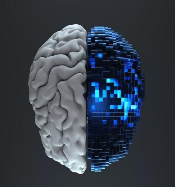IA para Otimização de Portfólios de Investimento